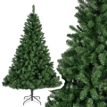 Zielona Sosna Cesarska - Olbrzymia choinka 450 cm