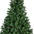 Zielona Sosna Cesarska - Olbrzymia choinka 450 cm