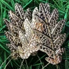 Zestaw 4 szt. Złotych Metalowych zawieszek Liści fot.4
