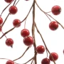 621037s1 kopia.webp