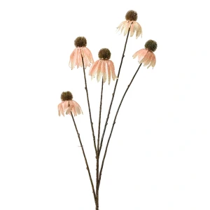 Różowa jeżówka - 5 kwiatów na 1 łodydze 92 cm