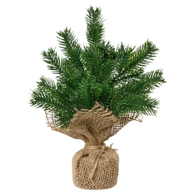 680979 kopia.webp
