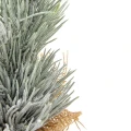 Cyprys w jucie - Ośnieżona mała choinka 30 cm