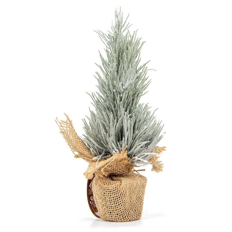 Cyprys w jucie - Ośnieżona mała choinka 30 cm
