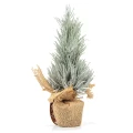 Cyprys w jucie - Ośnieżona mała choinka 30 cm