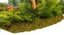 Naturalny stroik z mchu i grzybów 120 cm