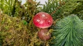 Naturalny stroik z mchu i grzybów 120 cm