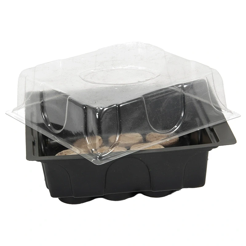 Szklarnia na parapet + 12 krążków kokosowych