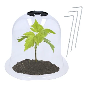 Osłonka na rośliny - Przezroczysta Miniszklarenka 33x30 cm