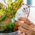 Jeżyk - Ceramiczny nawadniacz do roślin zdjęcie 2