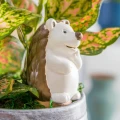 Jeżyk - Ceramiczny nawadniacz do roślin zdjęcie 1