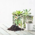 Ceramiczna osłonka na doniczkę 12,5x11,5 cm zdjęcie 5