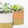 Ceramiczna osłonka z złotym pasem na doniczkę 15x15x13,2 cm zdjęcie 4
