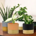 Ceramiczna osłonka z złotym pasem na doniczkę 15x15x13,2 cm zdjęcie 6
