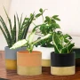 Ceramiczna osłonka z złotym pasem na doniczkę 15x15x13,2 cm zdjęcie 6