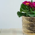 Ceramiczna złota osłonka 15x15x13 cm