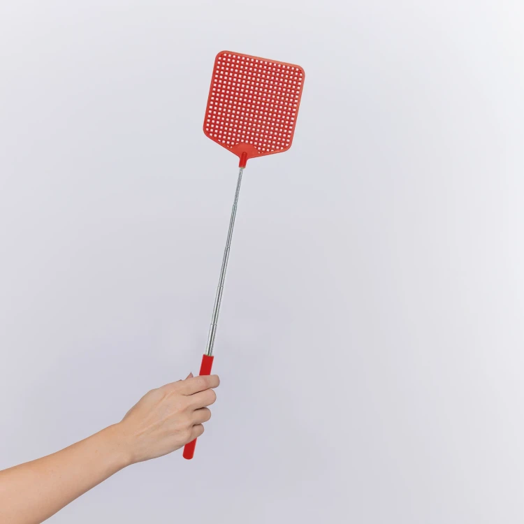 cropped-photo-hand-woman-holding-paint-brush-isolated-white-wall kopia.webp