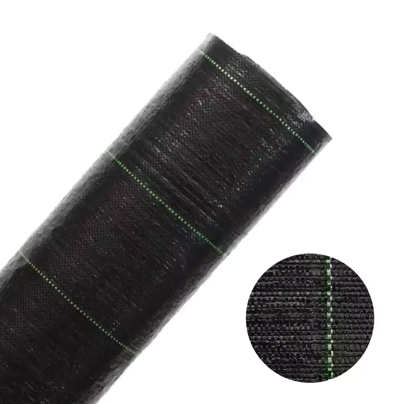 Agrotkanina czarna 100g/m