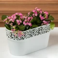 Nawóz BLOOM do pelargonii- 200g