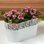 Nawóz BLOOM do pelargonii- 200g