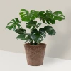 Nawóz BLOOM do roślin zielonych - 200g