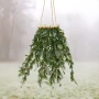 Wiszący wianek na koralach z gałęzi tui na plecionym kole - 65 cm