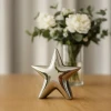 Srebrna Porcelanowa gwiazda - 9 cm