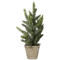 Małe choinki w doniczce - 20 cm wzór 3