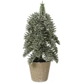 Małe choinki w doniczce - 20 cm wzór 2