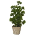 Małe choinki w doniczce - 20 cm wzór 1