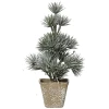 Małe choinki w doniczce - 20 cm wzór 5