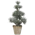 Małe choinki w doniczce - 20 cm wzór 5