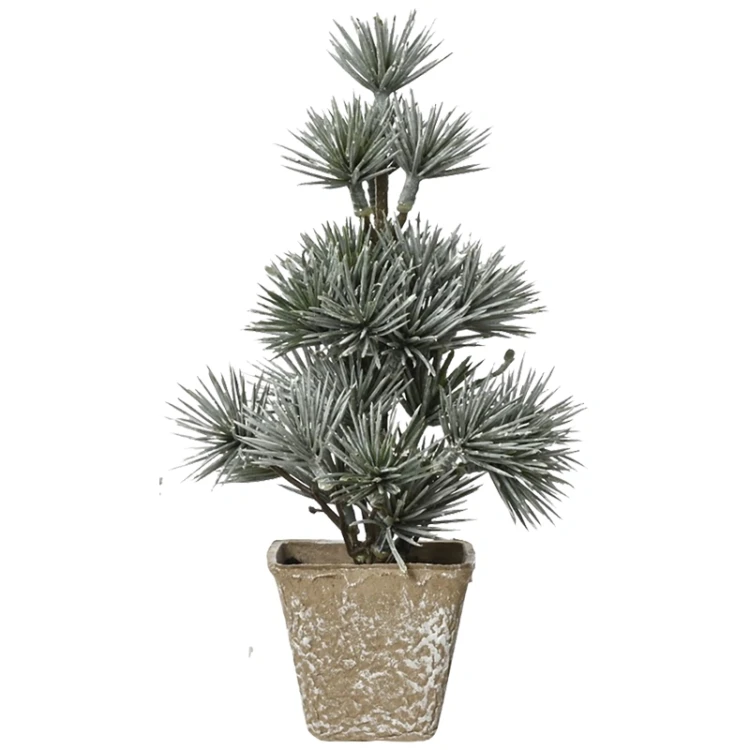 Małe choinki w doniczce - 20 cm wzór 5