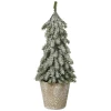 Małe choinki w doniczce - 20 cm wzór 4