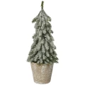 Małe choinki w doniczce - 20 cm wzór 4