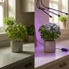 Lampa do wzrostu roślin na USB - 3-ramienna 01