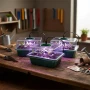 pol_pl_KPL-3-TACEK-12-KOMOREK-MINISZKLARNIA-DO-KIELKOWANIA-Z-AKCESORIAMI-LED-8763_3.webp