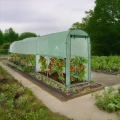 Zielony tunel foliowy pod pomidory 3x1x2 m 05
