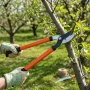 Sekator ogrodowy podczas przycinania gałęzi drzewa owocowego
