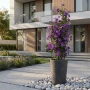 Stalowa pergola kolumnowa do roślin pnących PRIMO 160 cm
