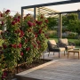 Stalowa pergola kolumnowa do roślin pnących PRIMO 160 cm