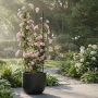 Stalowa pergola kolumnowa do roślin pnących PRIMO 160 cm