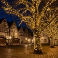Lampki choinkowe CLUSTER TWINKLE 448LED 4,2m klasyczny ciepły
