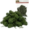 Mech dekoracyjny Tillandsia naturalny do szopek KAEMINGK 591287