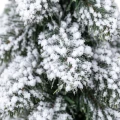 Choinka sztuczna na pniu ośnieżona 65 cm KAEMINGK 683982