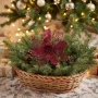 Gwiazda betlejemska na klipsie bordowa 28 cm KAEMINGK 463205-1