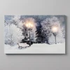 Obraz LED 58x38 cm ławki w zimowym parku KAEMINGK 485486-2