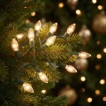 a78b2705940134ee65f46fedf1eb4221.webp