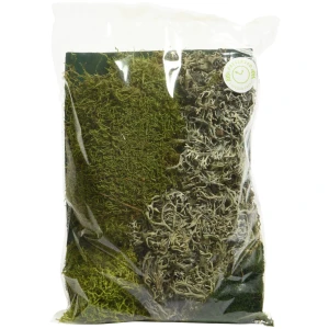 Mech dekoracyjny naturalny zielony 100 g KAEMINGK 700047