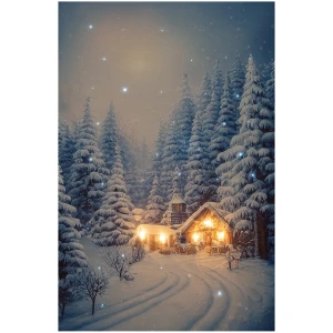Podświetlany obraz 38x58 cm 5 LED i 42 włókna - Śnieżny krajobraz 258213